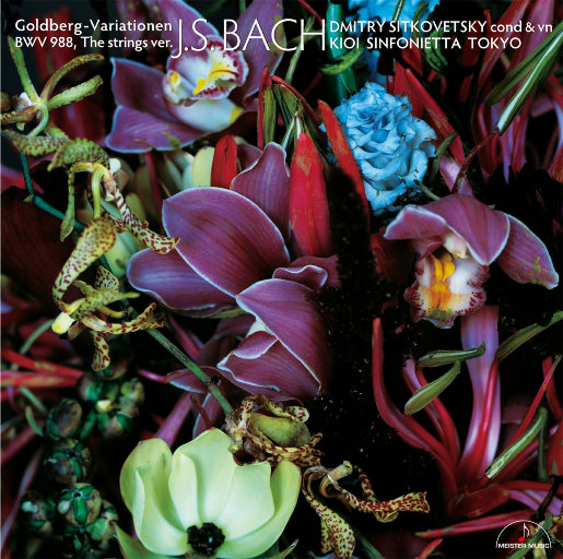 人妻少妇中文字幕乱码
